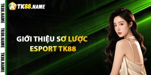 Giới thiệu sơ lược về Esport TK88