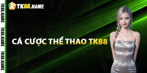 Giới thiệu về sân chơi cá cược thể thao Tk88