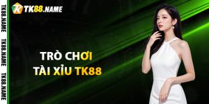 Giới thiệu về trò chơi tài xỉu Tk88