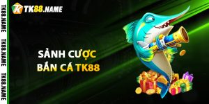 Tổng Quan Về Sảnh Cược Bắn Cá Tk88